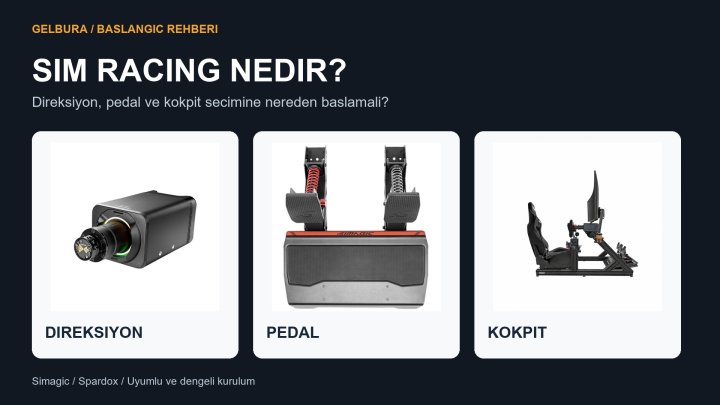 Sim Racing Nedir? Başlangıç ve Ekipman Seçim Rehberi
