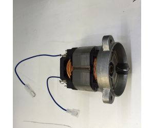 Lelit Aksesuarları Grinder Motor 4000001